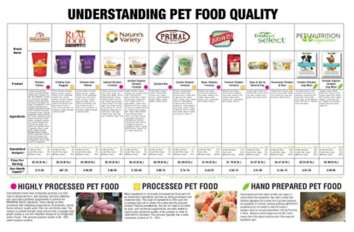 Infographic comparing live probiotics with postbiotic fermentation metabolites