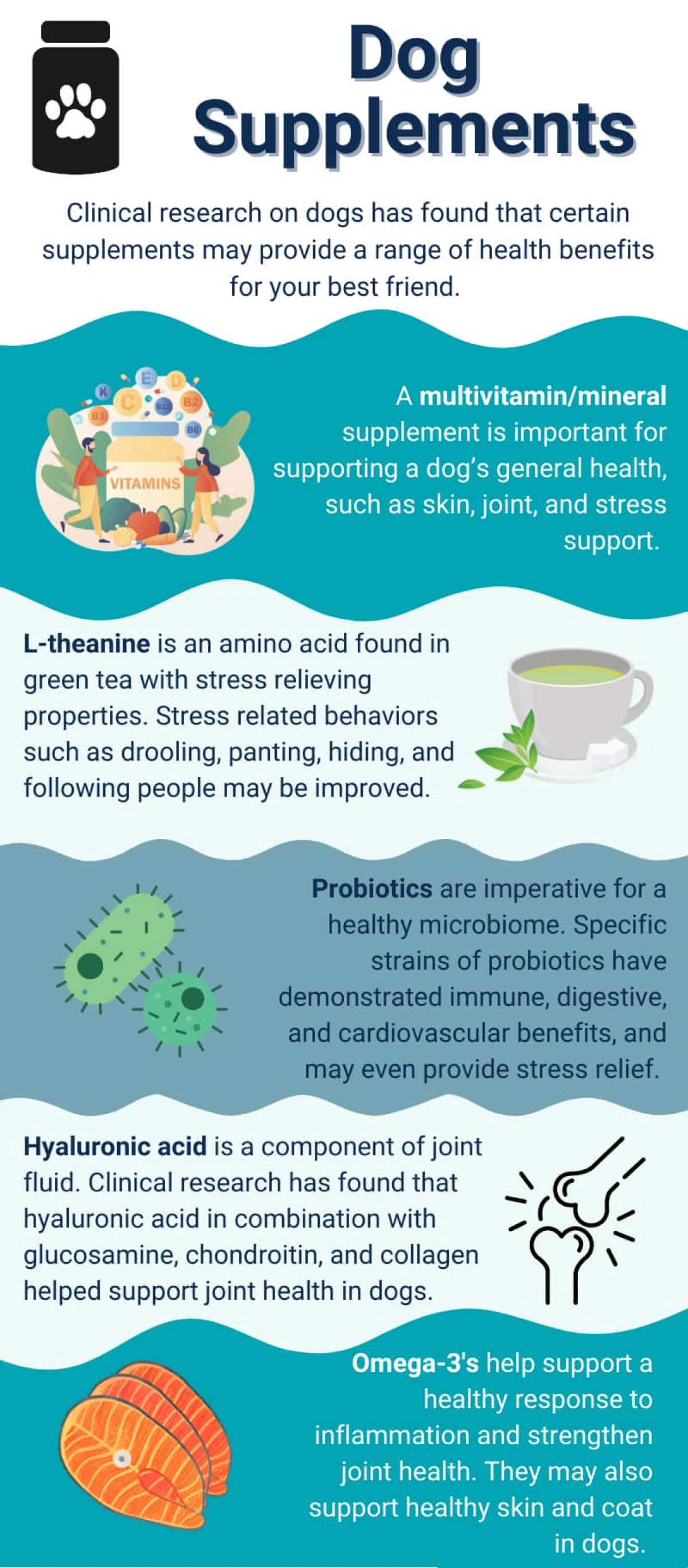 Checklist infographic summarizing what to look for in a dog supplement