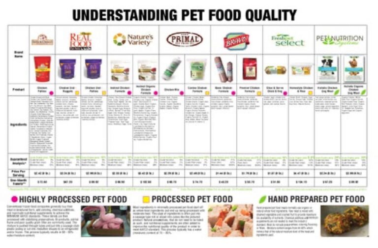 Infographic summarizing adjusting a senior golden retriever's supplement routine