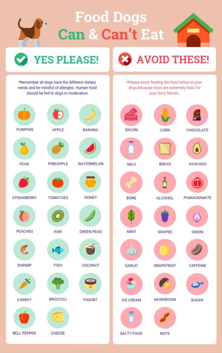 Infographic summarizing dog supplement brands compared and reviewed