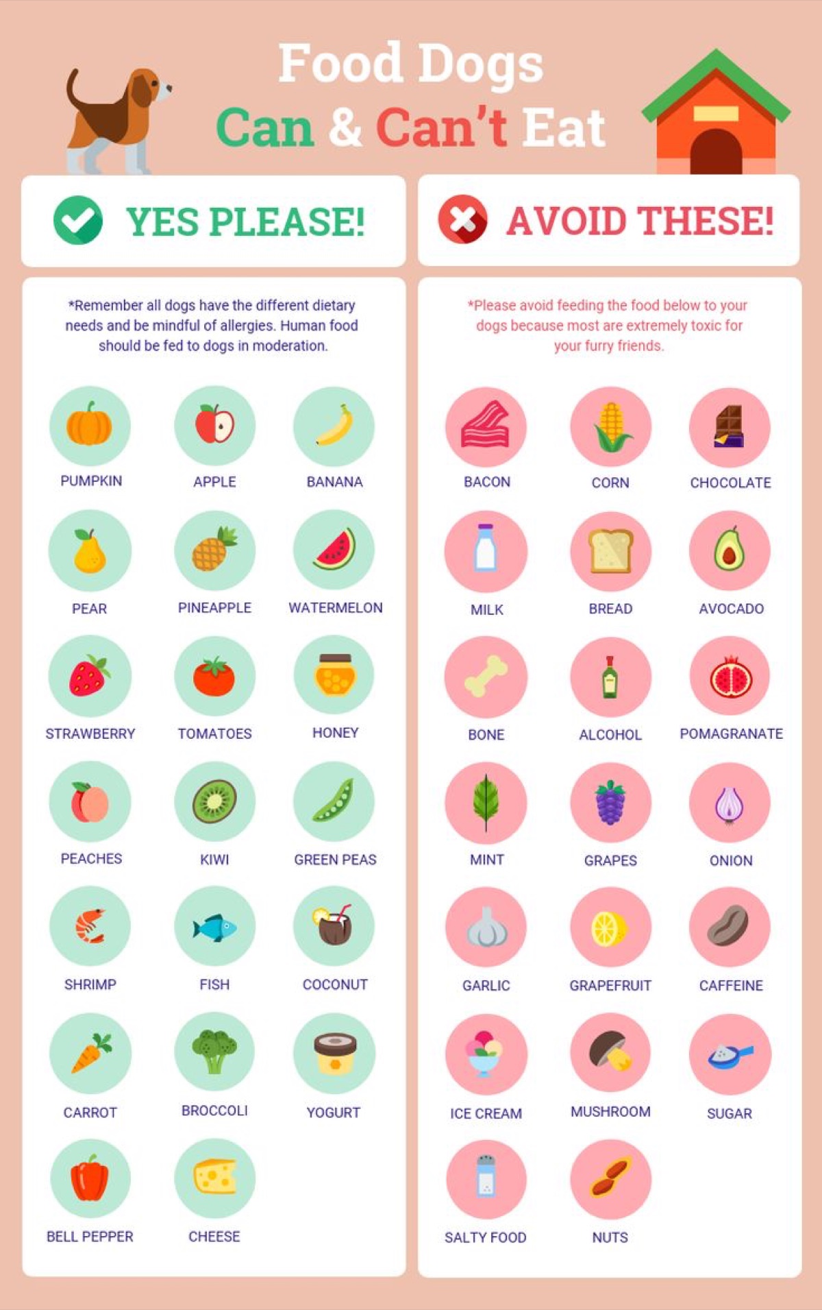 Infographic summarizing dog supplement brands compared and reviewed