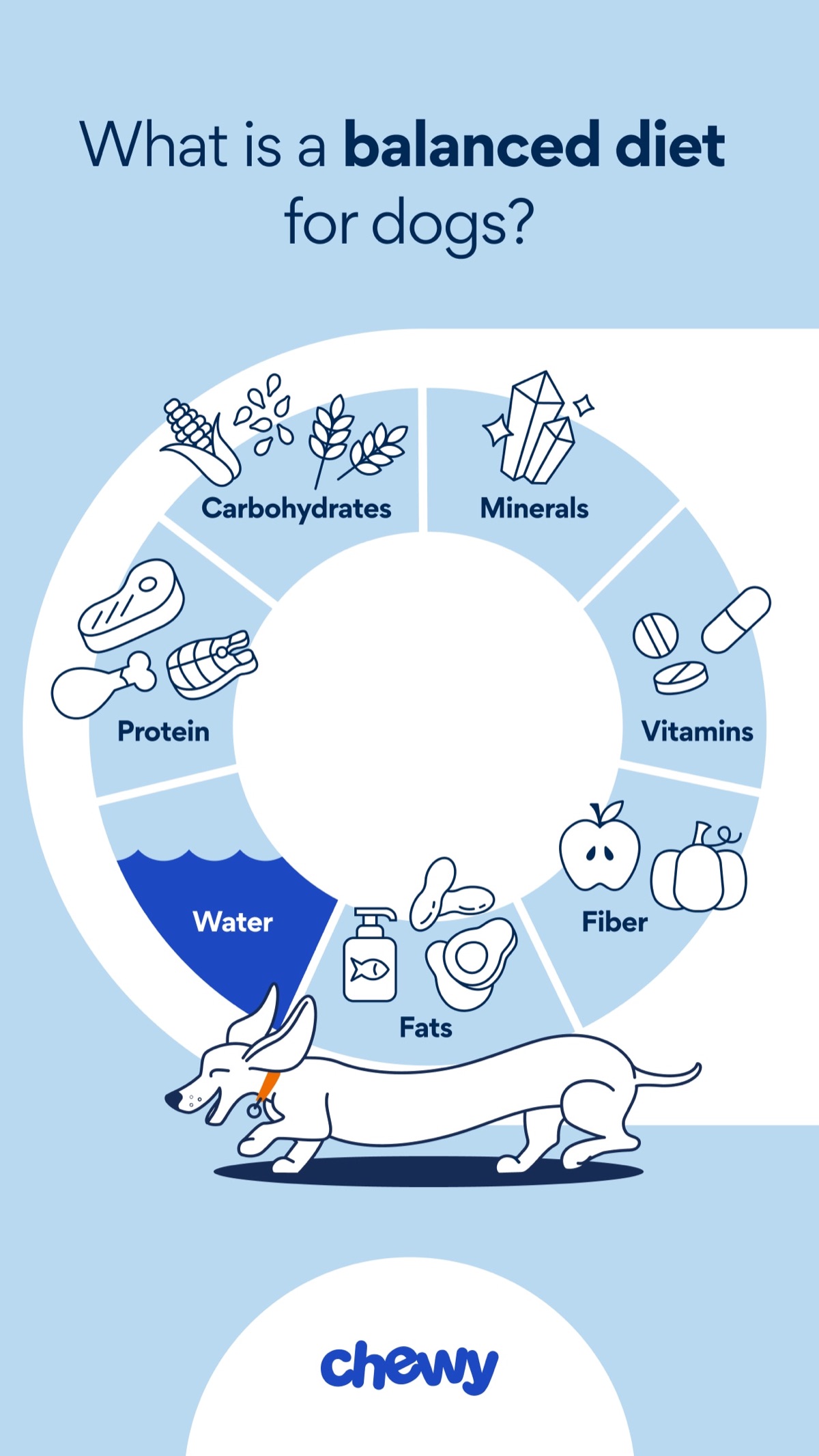 infographics - How I Evaluate a Dog Supplement Now (My Personal Checklist)
