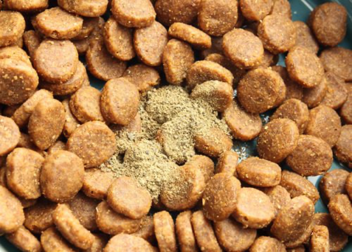 ingredients - What I Wish I Knew Before Starting Biscuit on Supplements