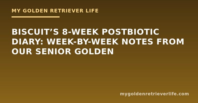 Biscuit’s 8-Week Postbiotic Diary: Week-by-Week Notes From Our Senior Golden
