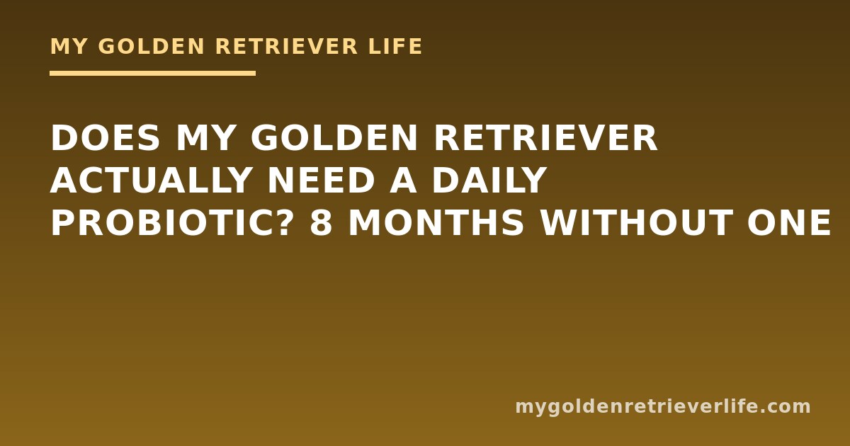 Senior golden retriever resting while owner reviews supplement notes with veterinarian