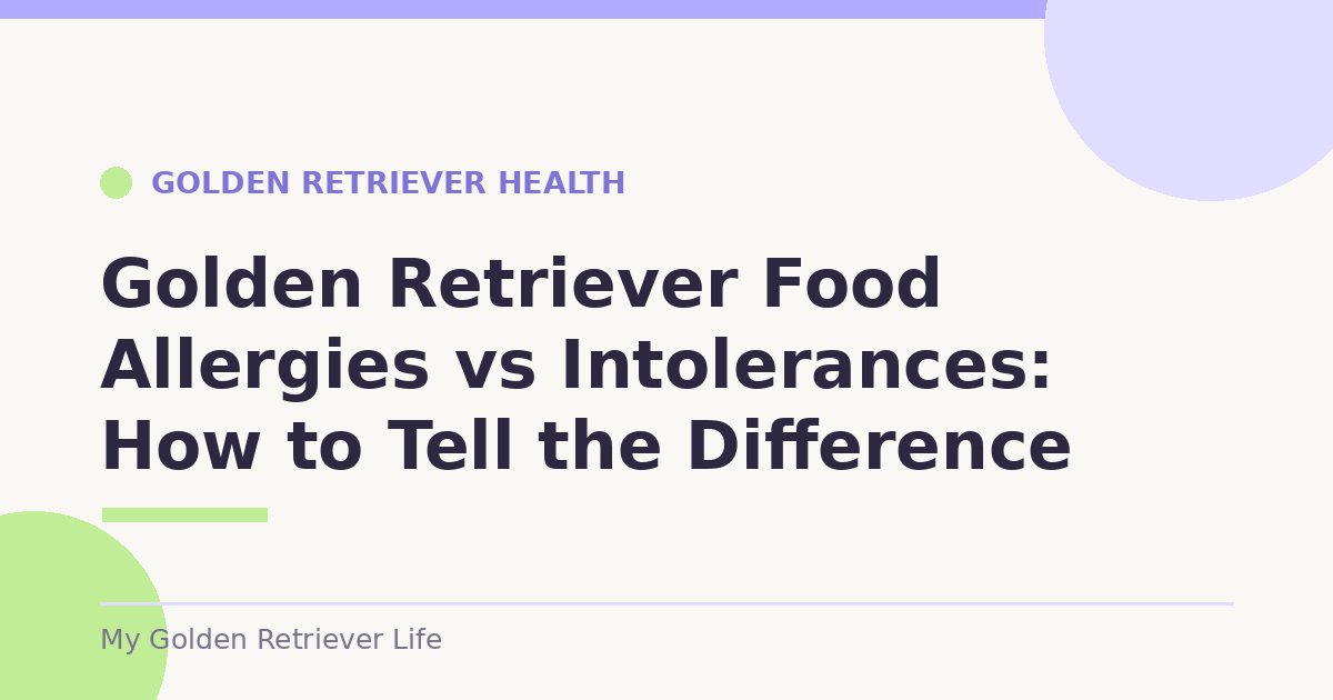 Golden Retriever Food Allergies vs Intolerances: How to Tell the Difference