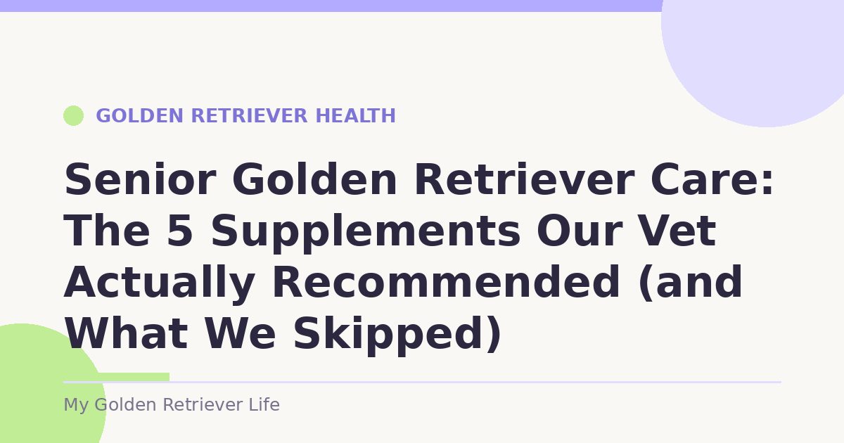 Senior Golden Retriever Care: The 5 Supplements Our Vet Actually Recommended (and What We Skipped)