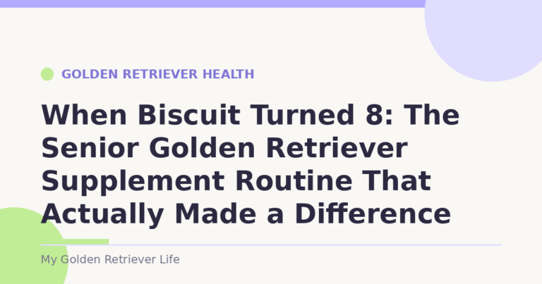 When Biscuit Turned 8: The Senior Golden Retriever Supplement Routine That Actually Made a Difference