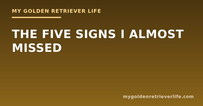The Five Signs I Almost Missed