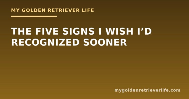 The Five Signs I Wish I’d Recognized Sooner