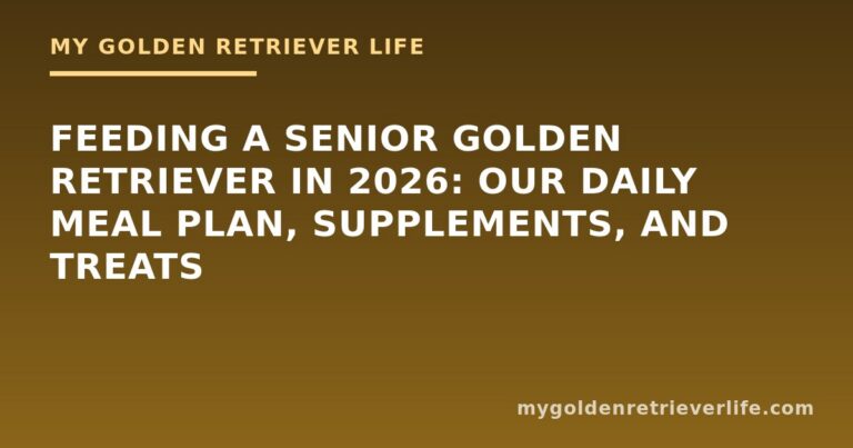 Feeding a Senior Golden Retriever in 2026: Our Daily Meal Plan, Supplements, and Treats