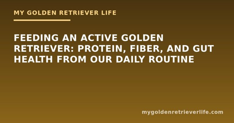 Feeding an Active Golden Retriever: Protein, Fiber, and Gut Health From Our Daily Routine