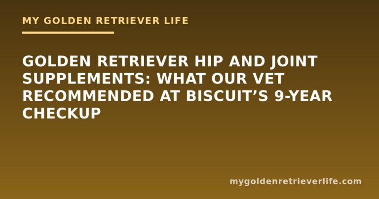 Golden Retriever Hip and Joint Supplements: What Our Vet Recommended at Biscuit’s 9-Year Checkup