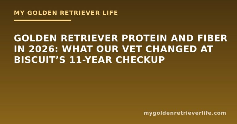 Golden Retriever Protein and Fiber in 2026: What Our Vet Changed at Biscuit’s 11-Year Checkup