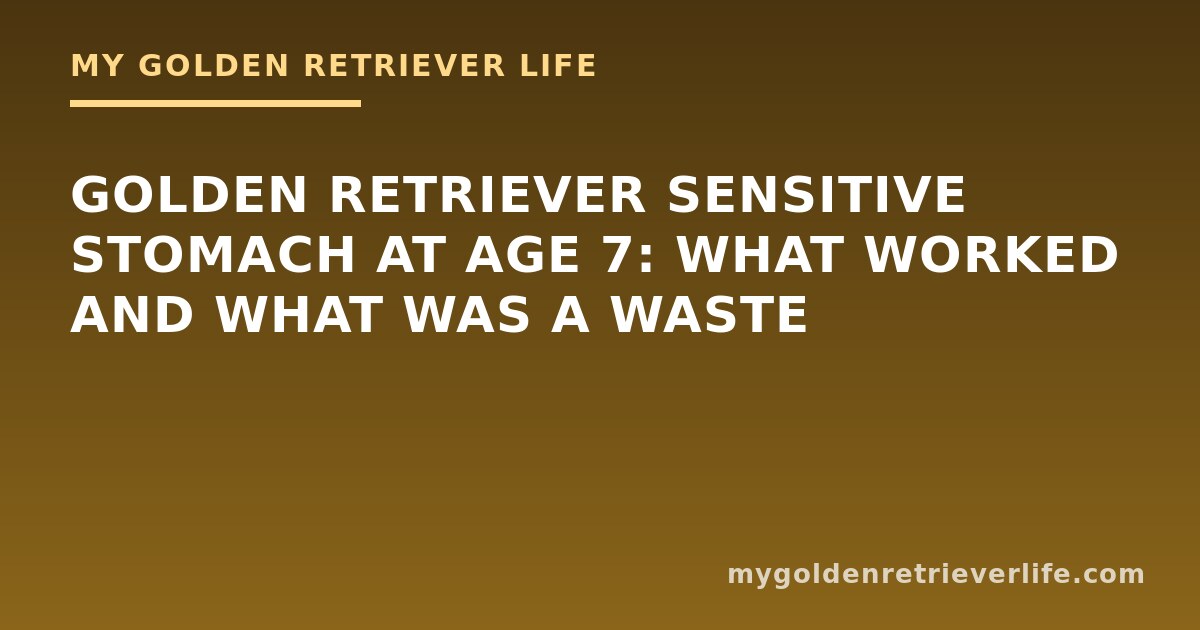Golden Retriever Sensitive Stomach at Age 7: What Worked and What Was a Waste