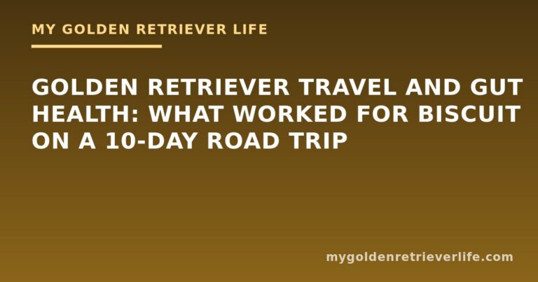 Golden Retriever Travel and Gut Health: What Worked for Biscuit on a 10-Day Road Trip