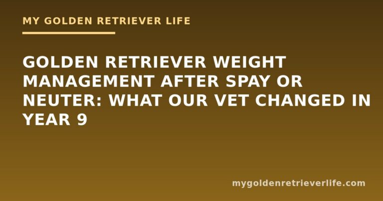 Golden Retriever Weight Management After Spay or Neuter: What Our Vet Changed in Year 9
