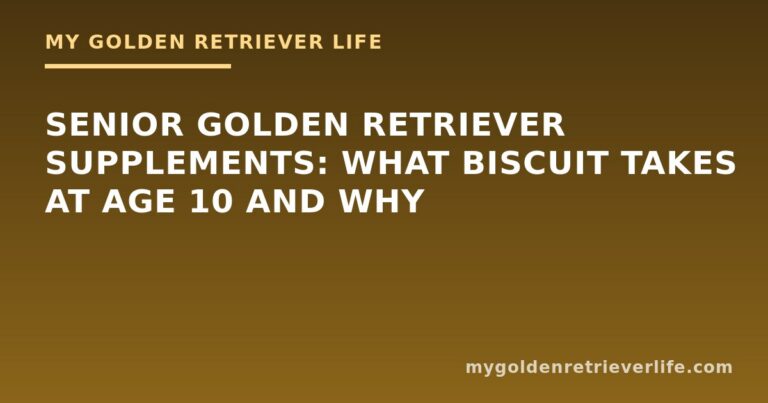 Senior Golden Retriever Supplements: What Biscuit Takes at Age 10 and Why